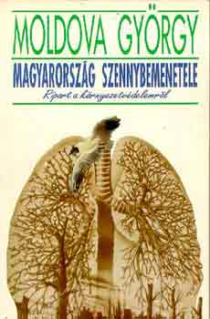 Moldova Gy�rgy - Magyarorsz�g szennybemenetele