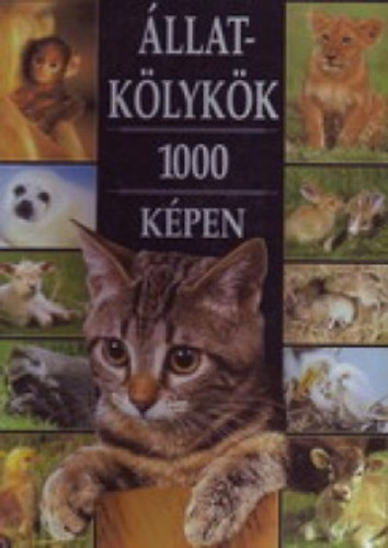 Direkt Marketing Millennium K. - llatklykk 1000 kpen