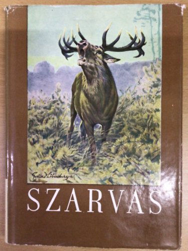 Szederjei kos - Szarvas