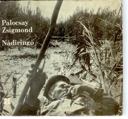 Palocsay Zsigmond - N�dirig�
