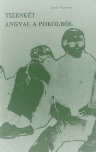 David Wikerson - Tizenkét angyal a pokolból