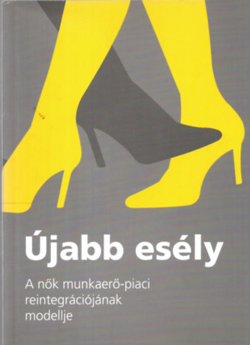 Szoboszlai Zsolt-Nagyn Varga Ilona (szerk.) - jabb esly - A nk munkaer-piaci reintegrcijnak modellje