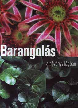 Barangols a nvnyvilgban