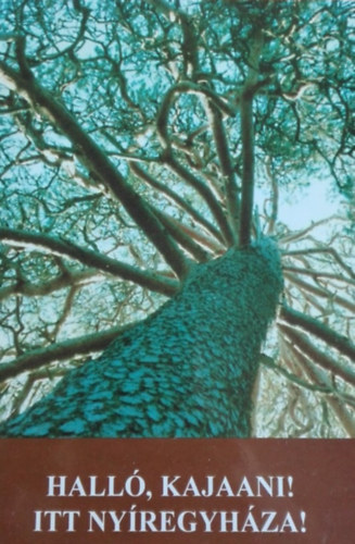 Hall�, Kajaani! Itt Ny�regyh�za!