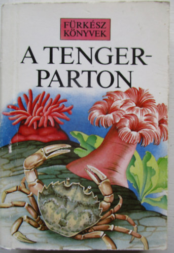 R. Fitter; S. Ray - A tengerparton - (Frksz Knyvek)