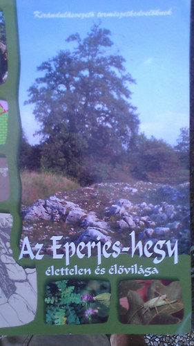 Az Eperjes-hegy lettelen s lvilga