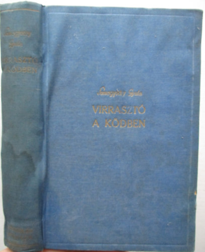 vit�z Somogyv�ri Gyula (Gyula di�k) - Virraszt� a k�dben - Versek