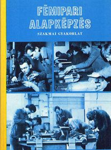 Simon S�ndor - F�MIPARI ALAPK�PZ�S - Szakmai gyakorlat