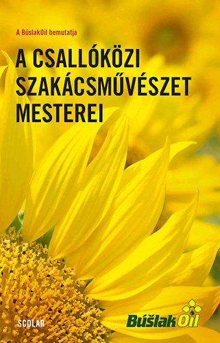 A csallkzi szakcsmvszet mesterei