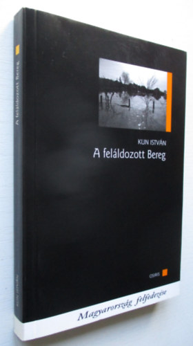 Kun Istvn - A felldozott Bereg