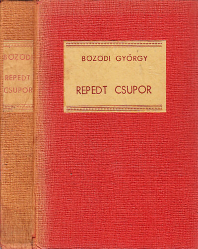B�z�di Gy�rgy - Repedt csupor