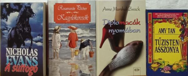 Rosamunde Pilcher, Anne Marshall Zwack, Nicholas Evans, Amy Tan - Romantikus knycsomag