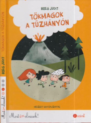 Berg Judit - Tökmagok a tűzhányón