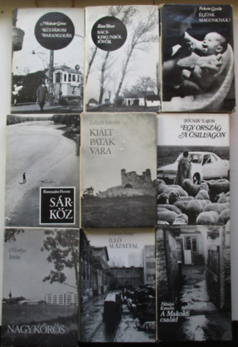 9 kötet Magyarország felfedezése sorozatból (A Makoldi család, Nagykőrös, Illő alázattal, Sárköz, Kiált patak vára, Egy ország a csillagon, Külvárosi barangolás, Bács-Kiskunból jövök, Éljünk magunknak?)