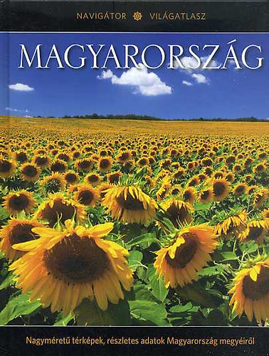 Horvth Gergely, Csllg Gbor - Magyarorszg