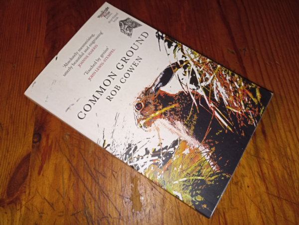Rob Cowen - Common Ground
