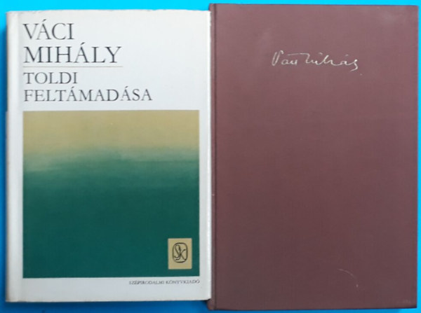 V�ci Mih�ly - Sz�zhuszat ver� sz�v + Toldi felt�mad�sa/�sszegy�jt�tt pr�zai �r�sok/
