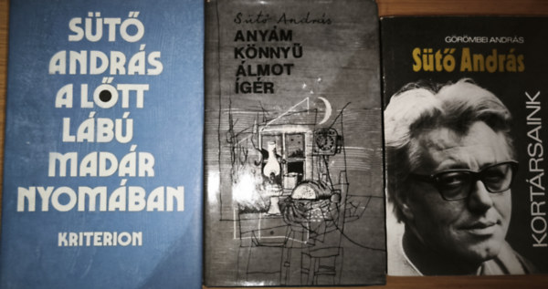 G�r�mbei Andr�s, S�t� Andr�s - 3db S�t� Andr�ssal kapcsolatos m� - G�r�mbei Andr�s-S�t� Andr�s, S�t� Andr�s-Any�m k�nny� �lmot �g�r, A l�tt l�b� mad�r nyom�ban