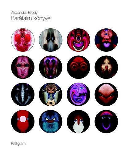 Alexander Brody - Barátaim könyve