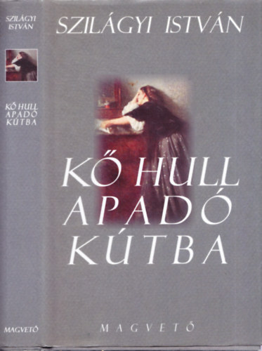 Szilgyi Istvn - K hull apad ktba