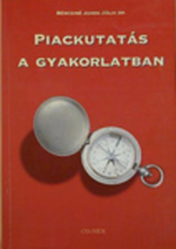 Brczin Juhos Jlia Dr. - Piackutats a gyakorlatban