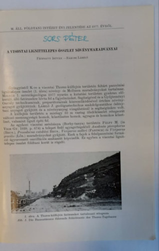 Plfalvy Istvn, Rkosi Lszl - A visontai lignittelepes sszlet nvnymaradvnyai (klnlenyomat)