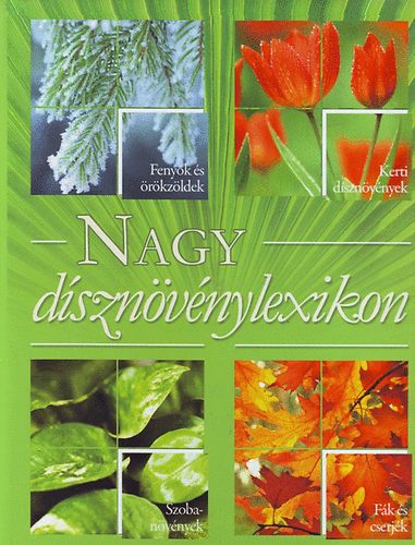 Balzs Erzsbet - Nagy dsznvnylexikon