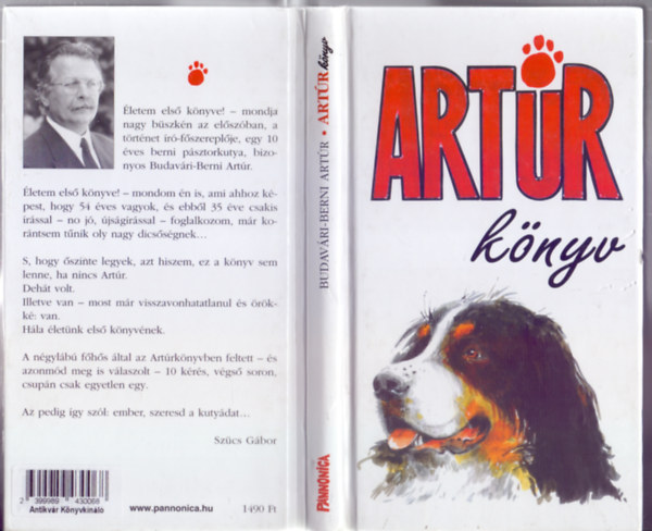 Budavri-Berni Artr (Szcs Gbor) - Artrknyv (Illusztrlta: Pintr Pter)